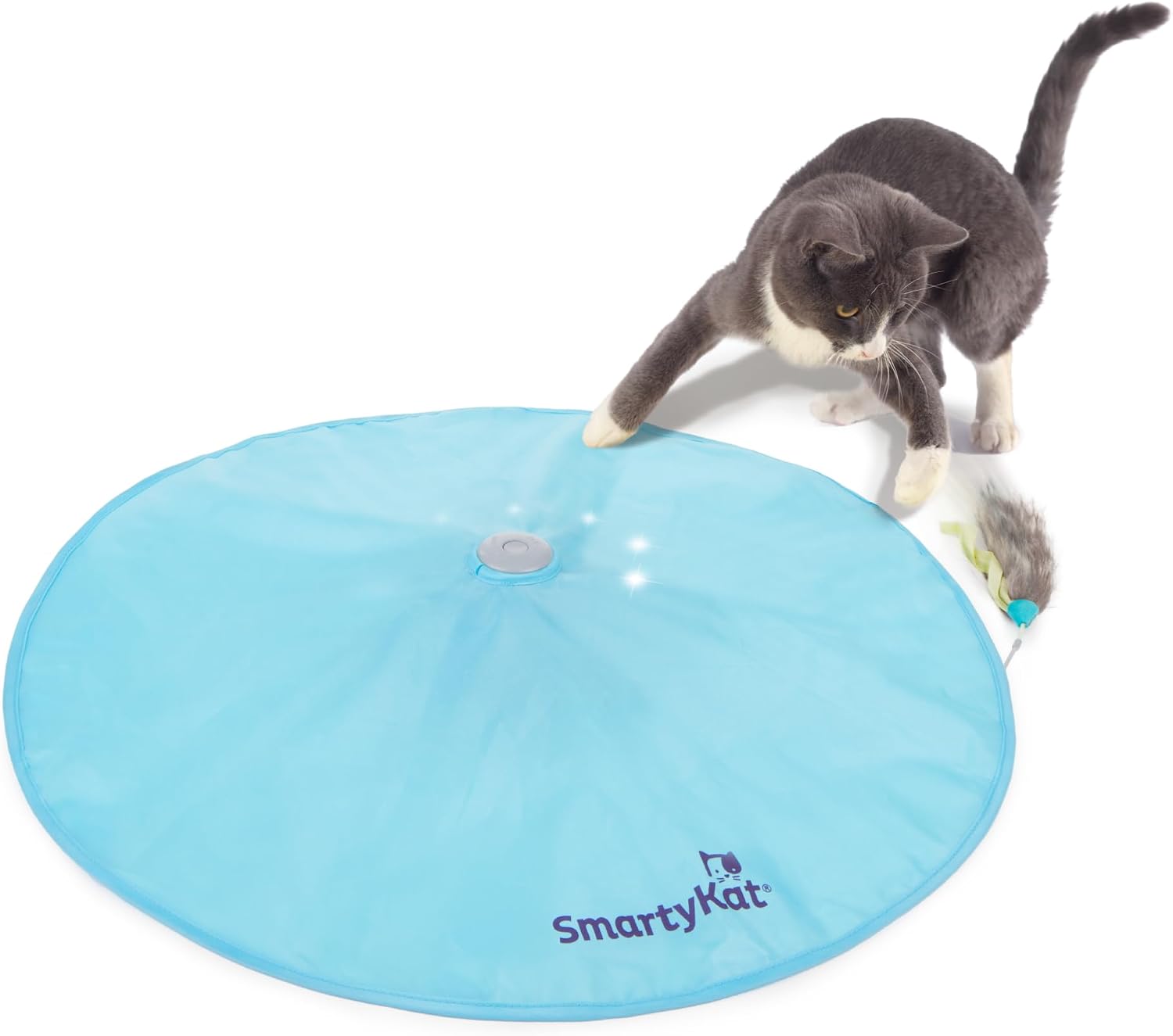 SmartyKat Hot Pursuit
